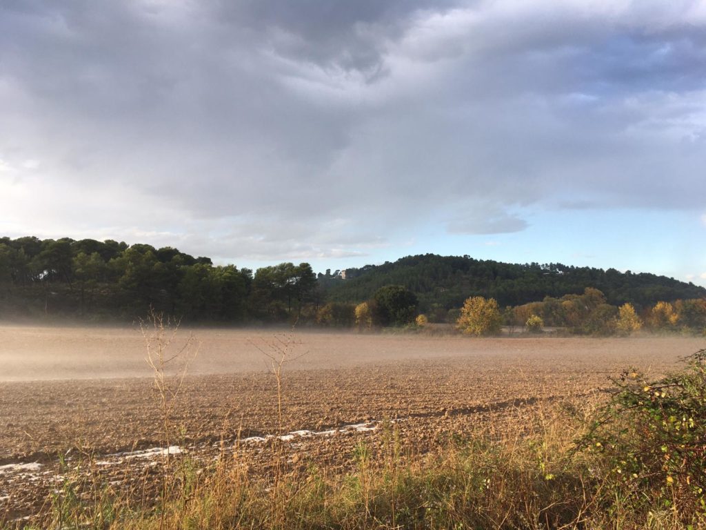 Le combat contre Oxylane se poursuit en 2020